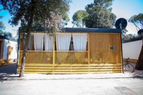 Mobile Home Ivana
